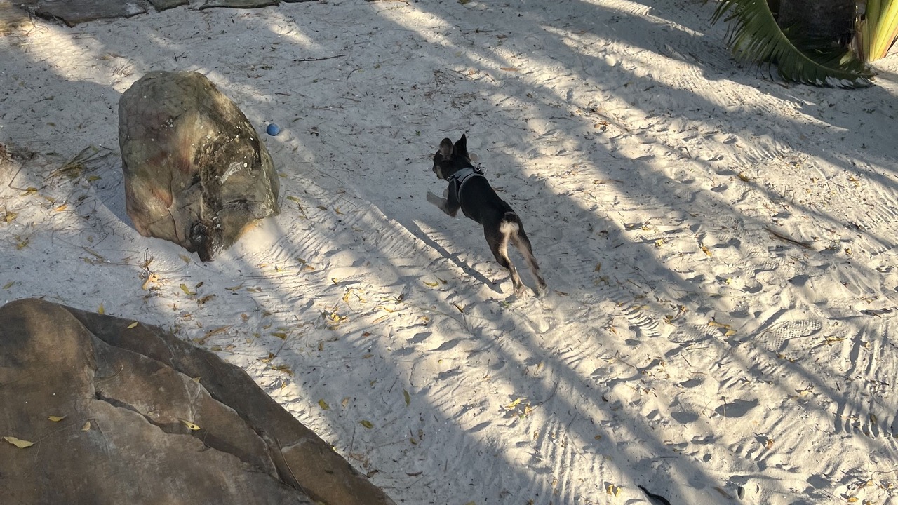 Photo of Others in Naples Park
