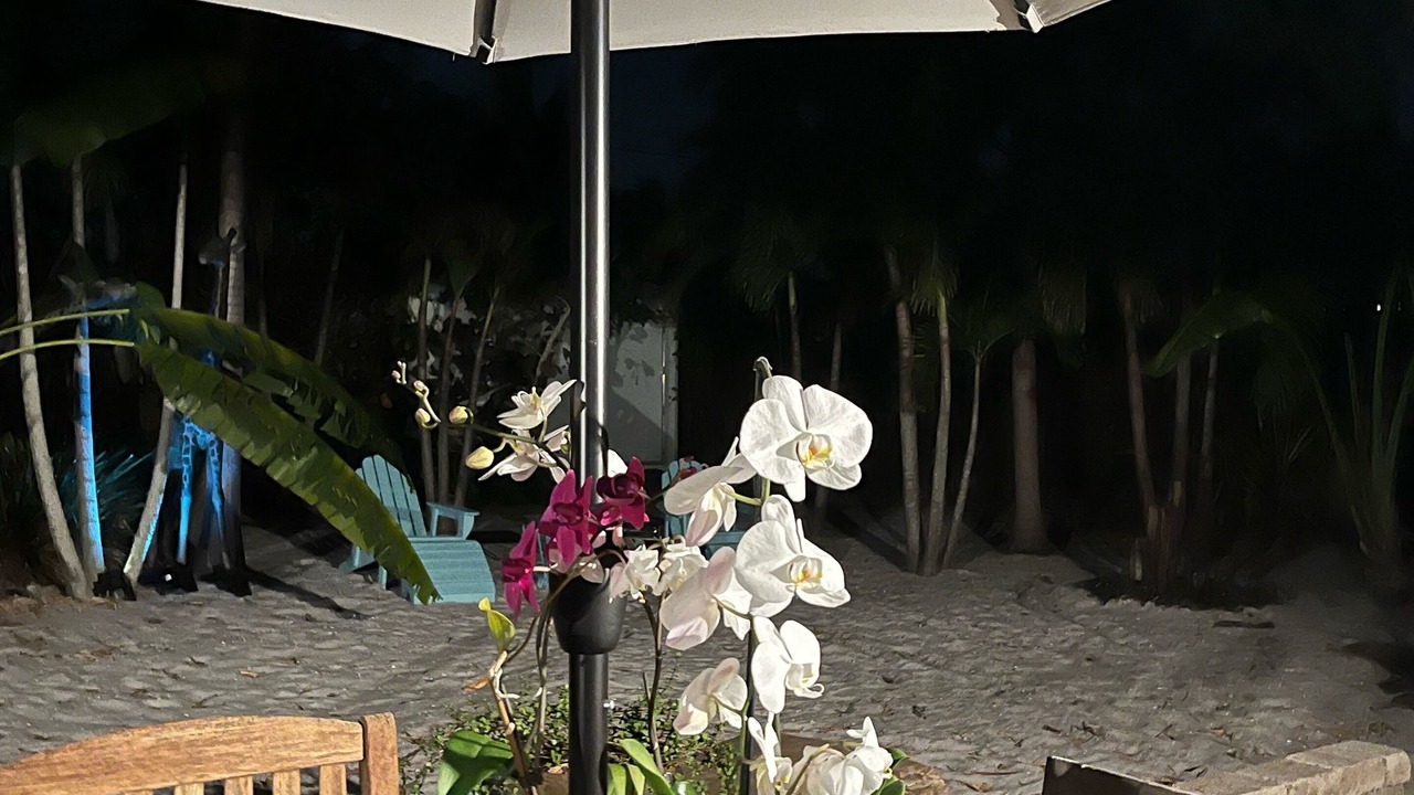 Photo of Outdoor in Naples Park