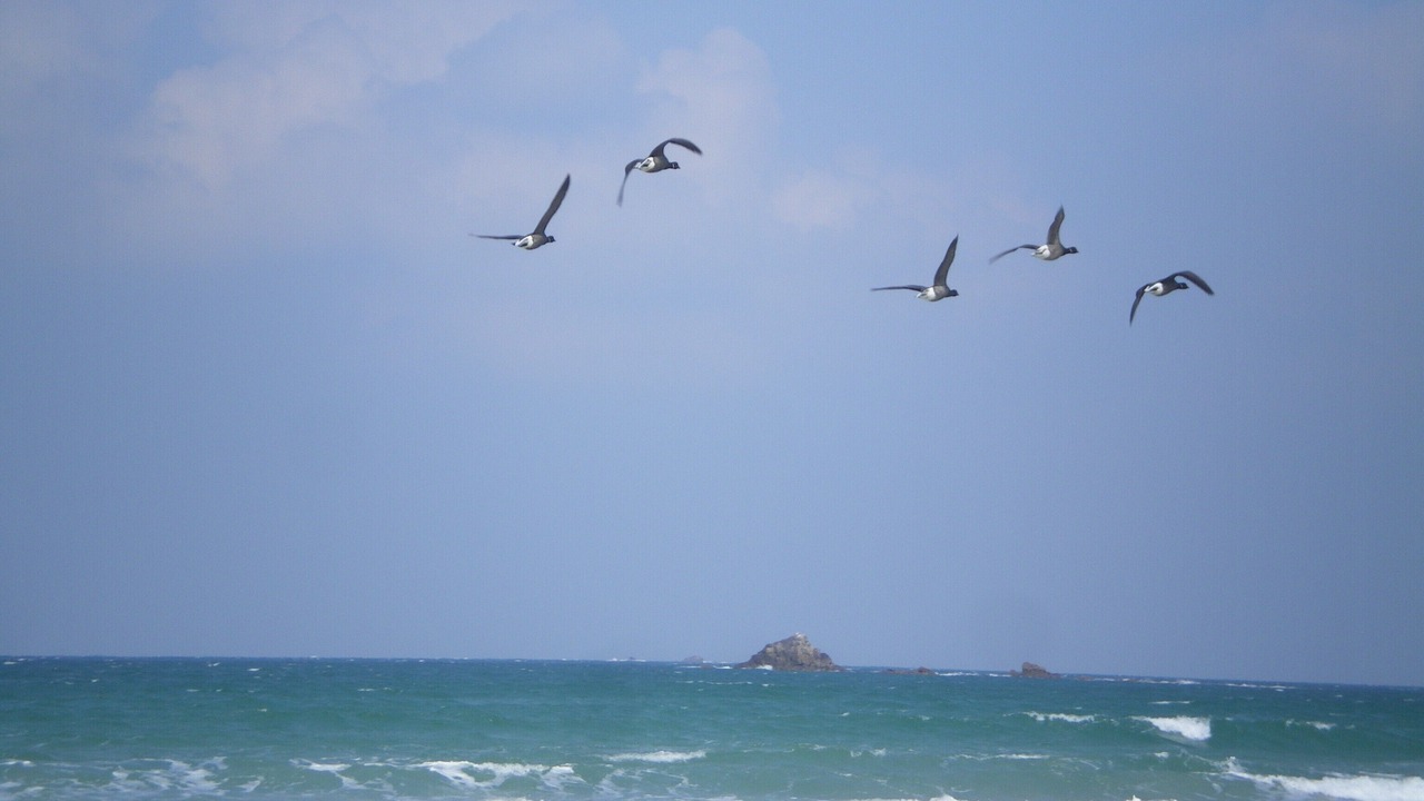 Photo of Others in Trevou-Treguignec