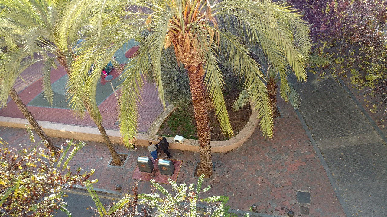 Photo of Outdoor in Sant Blai