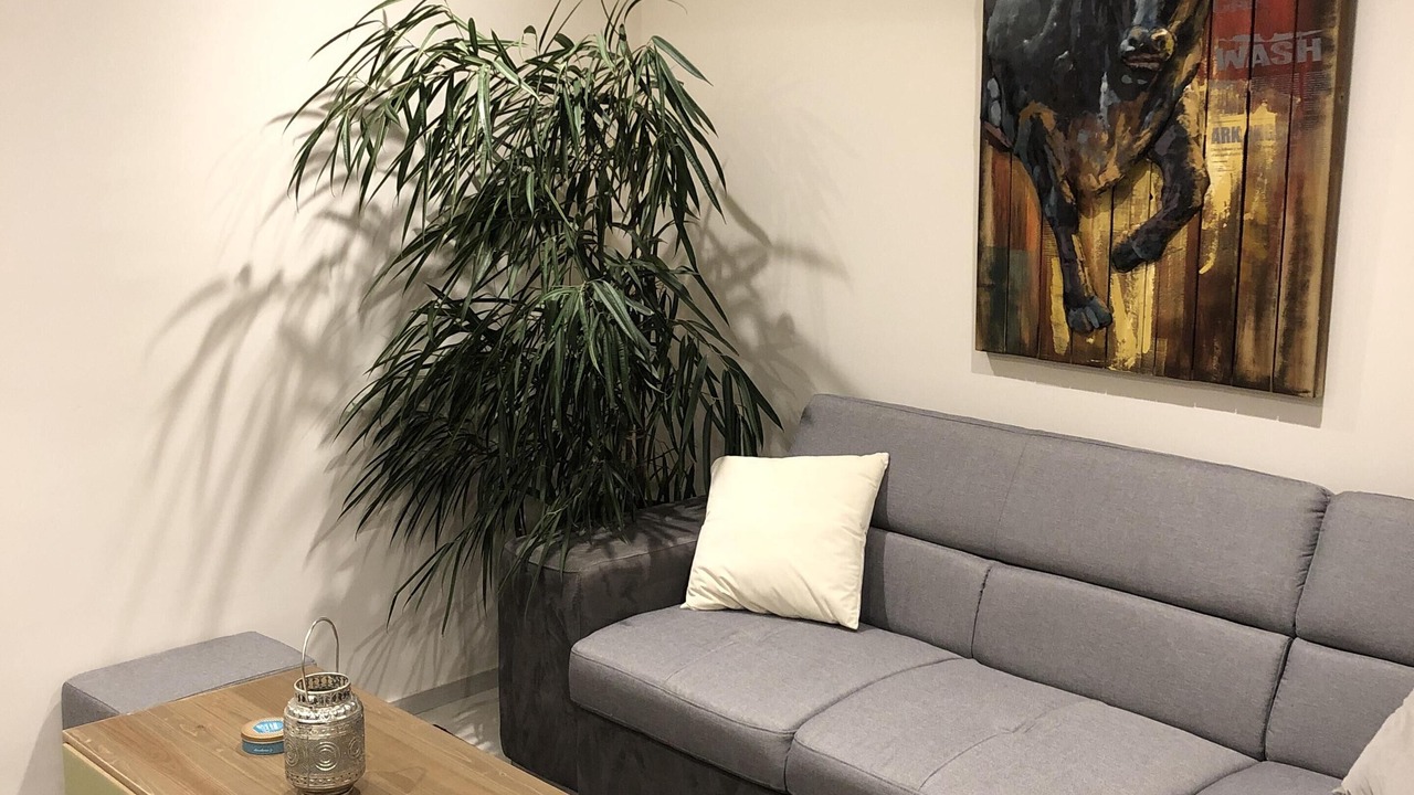 Photo of Livingroom in Sainte-Genevieve-des-Bois