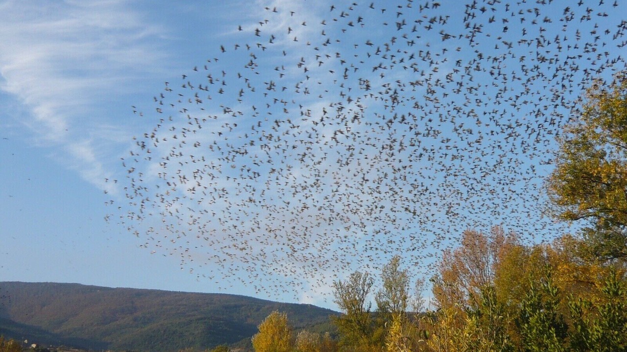 Photo of Others in Taurize