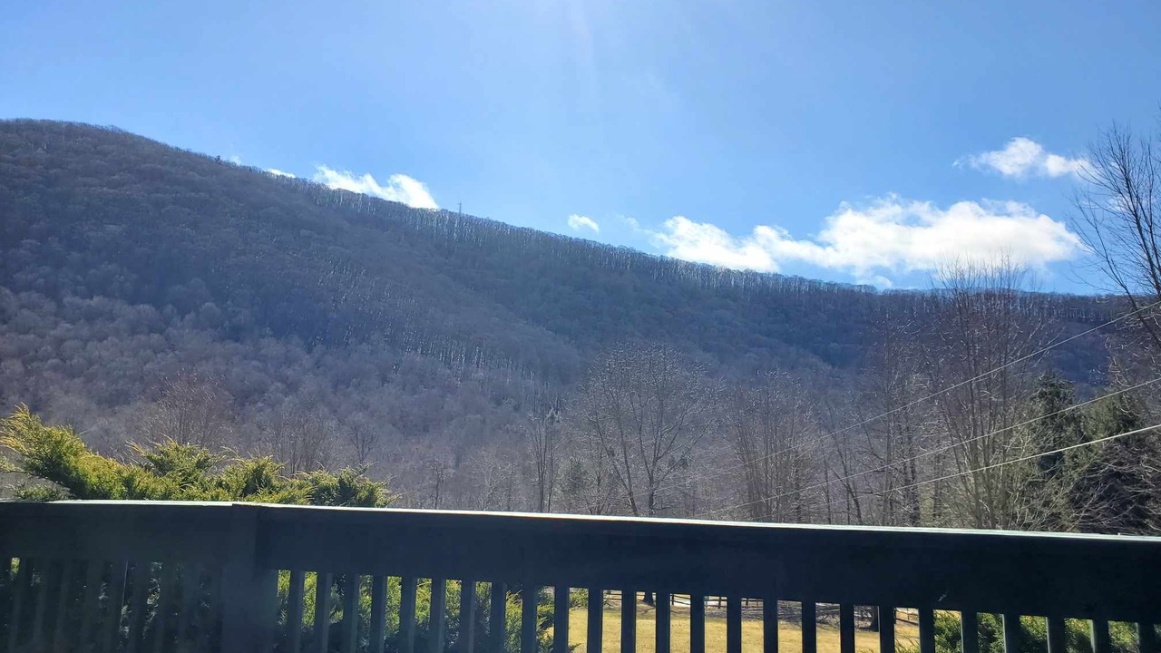 Photo of Outdoor in Benezette