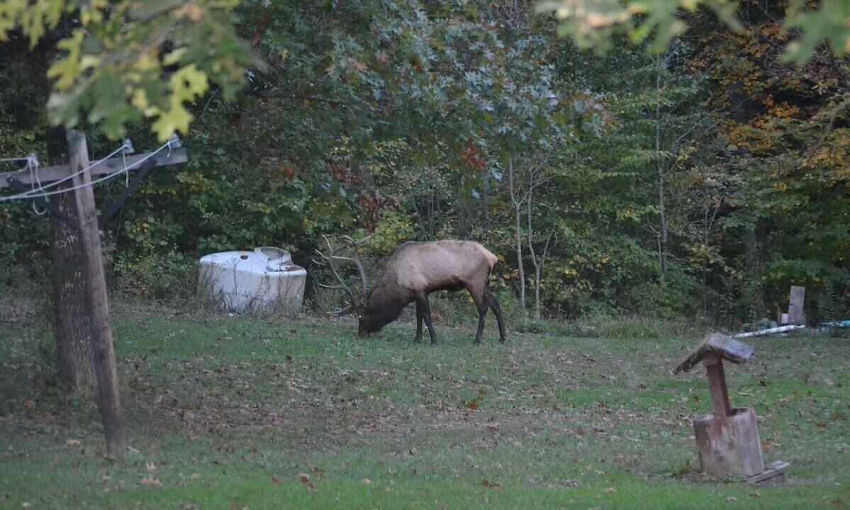 Photo of Others in Weedville