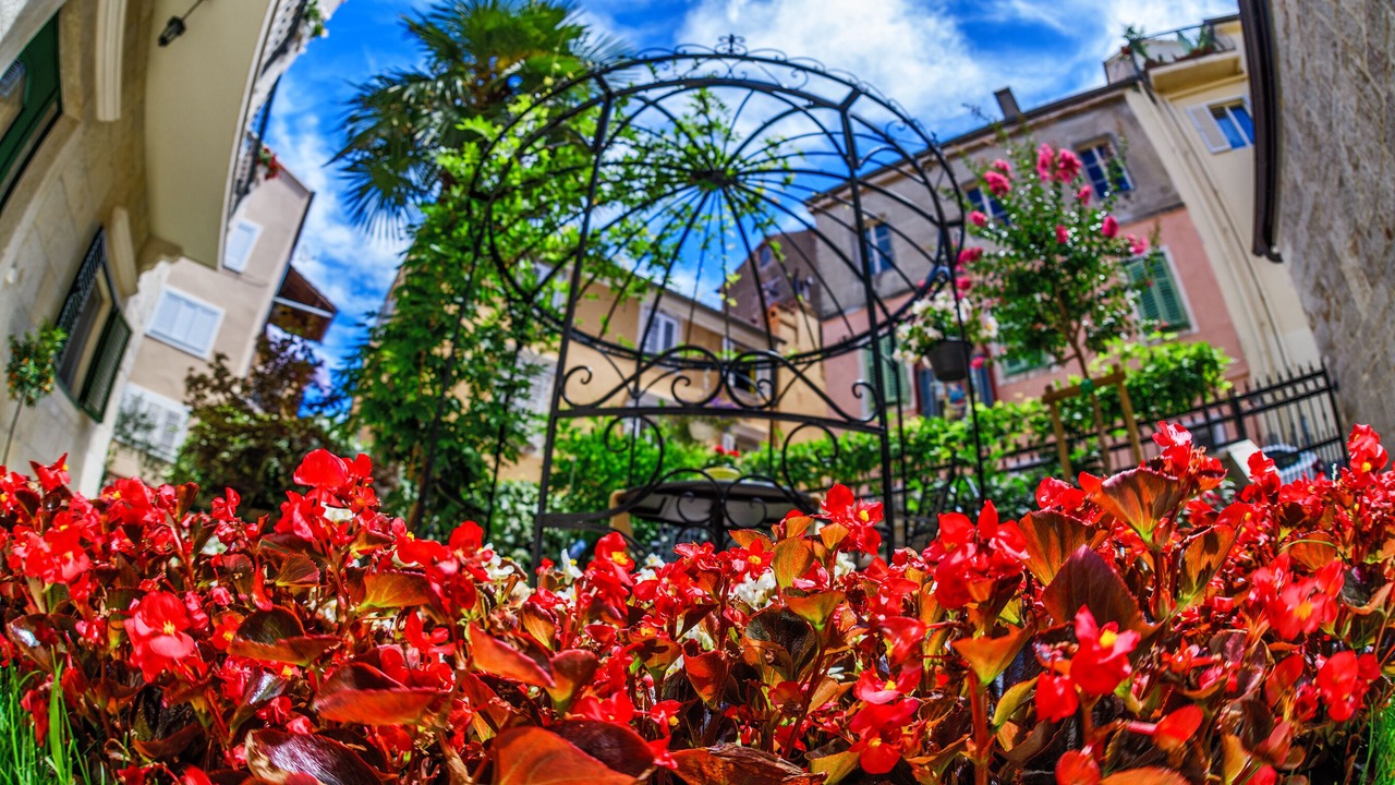 Photo of Outdoor in Zadar Old Town