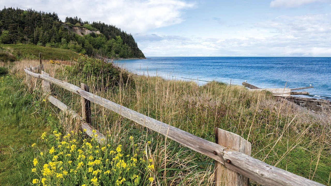 Photo of Outdoor in Adelma Beach