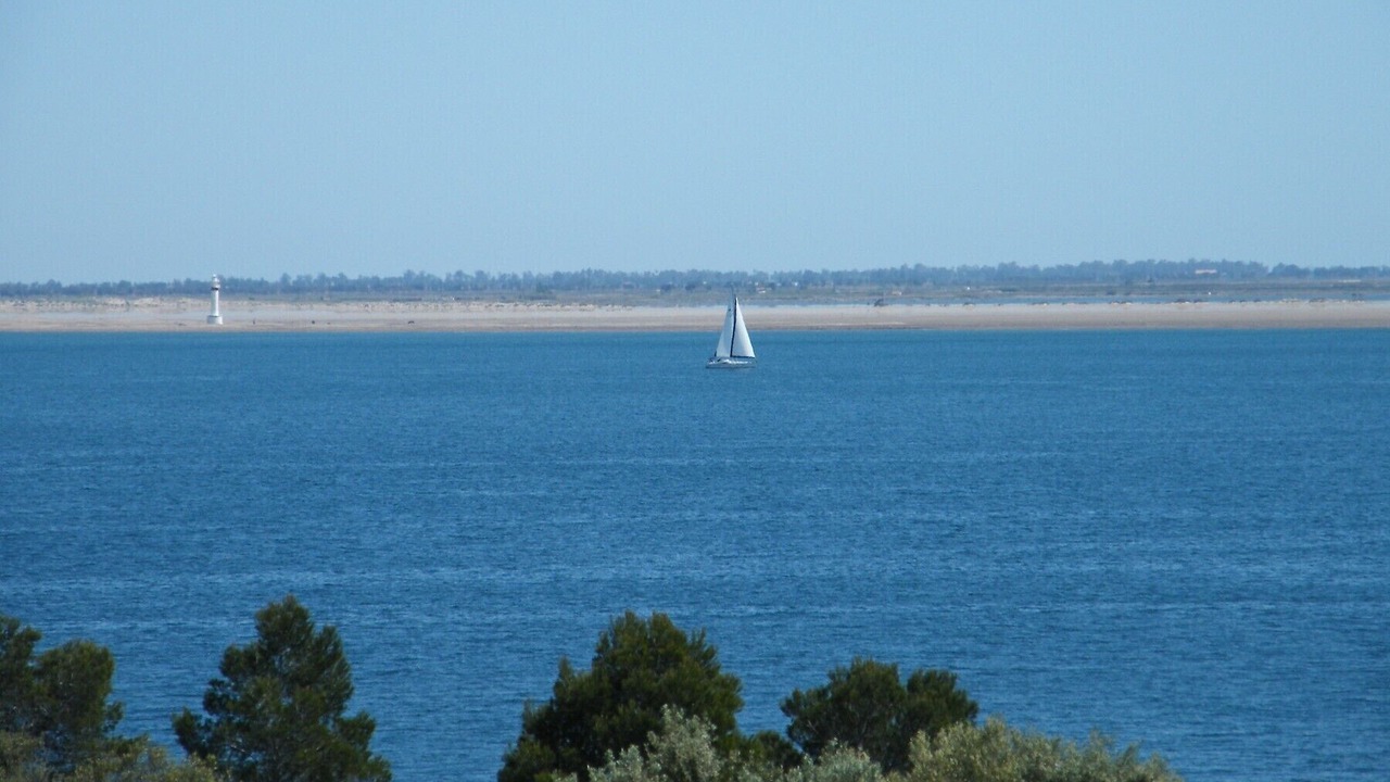 Photo of Others in El Perello