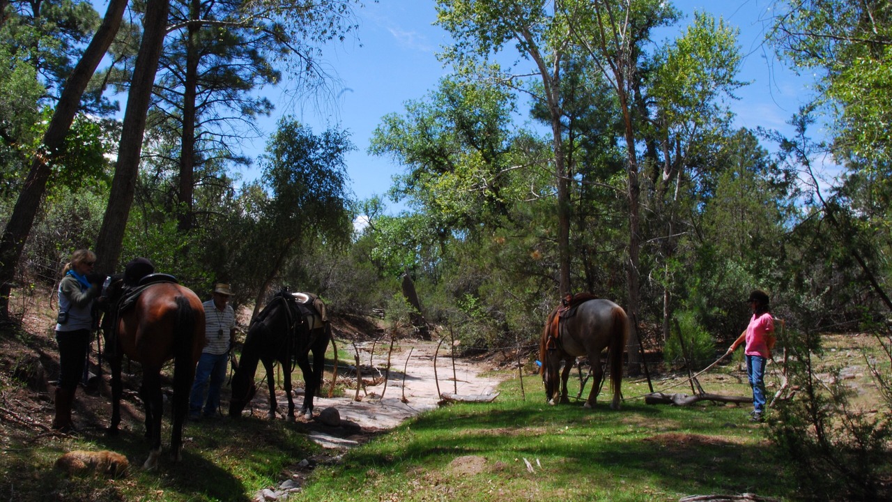 Photo of Outdoor in Catron County