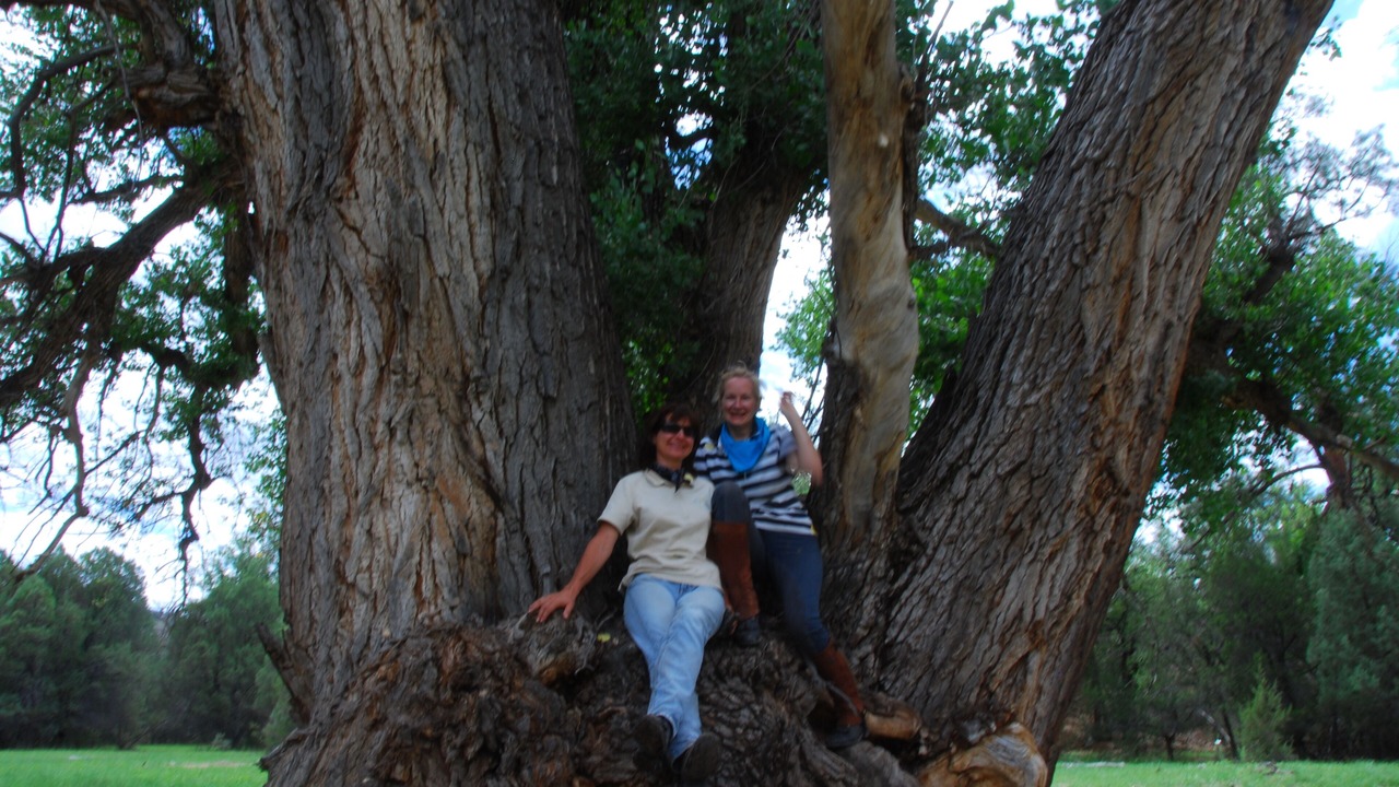 Photo of Outdoor in Catron County