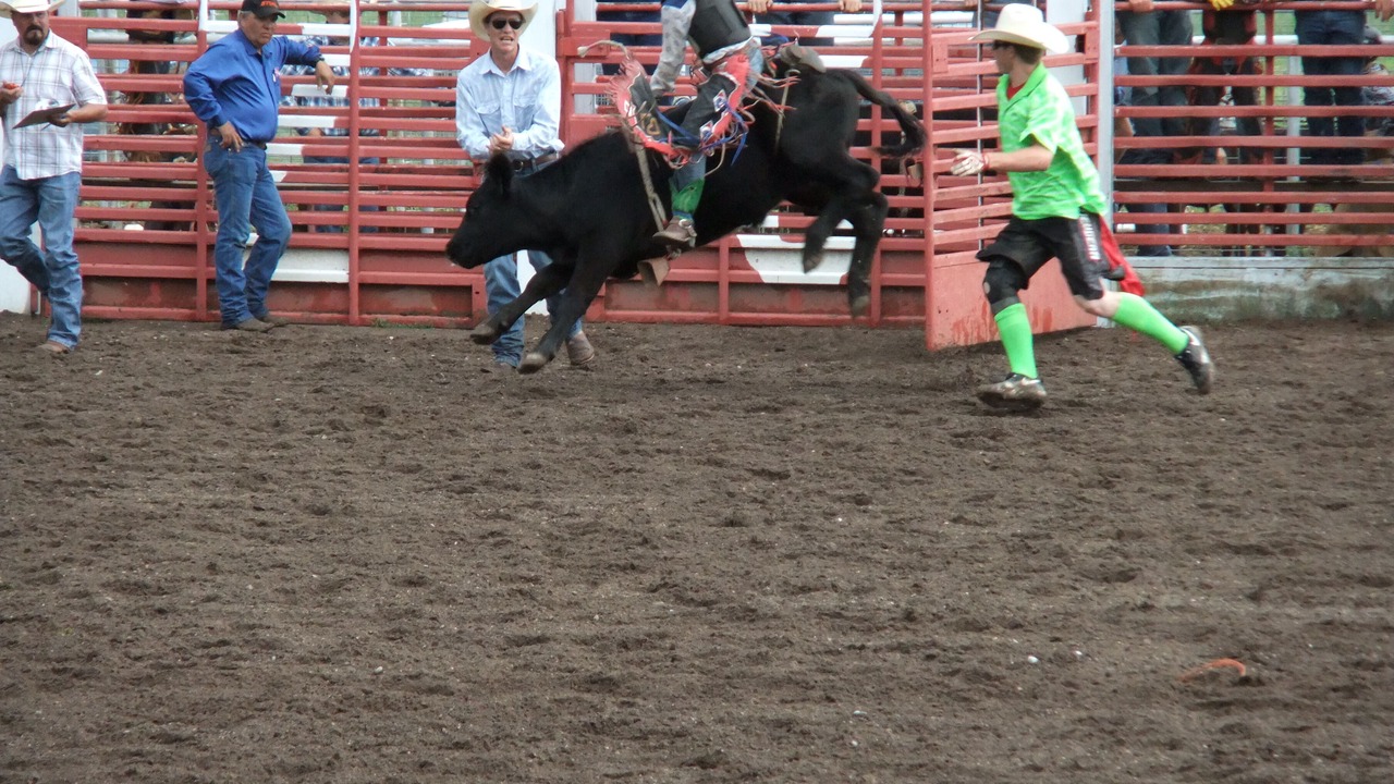 Photo of Others in Catron County