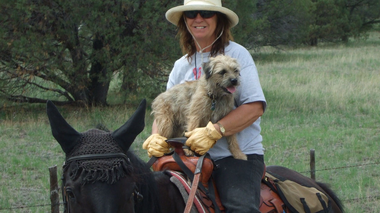 Photo of Outdoor in Catron County