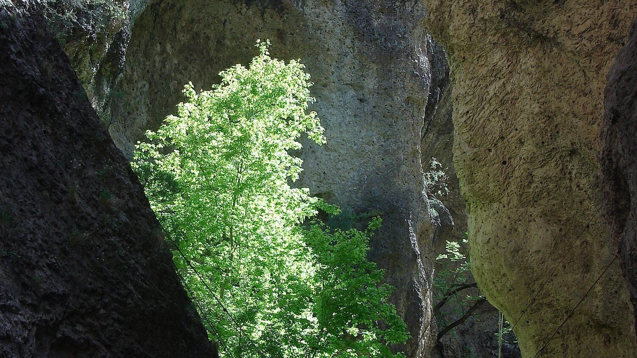 Photo of Others in Catron County