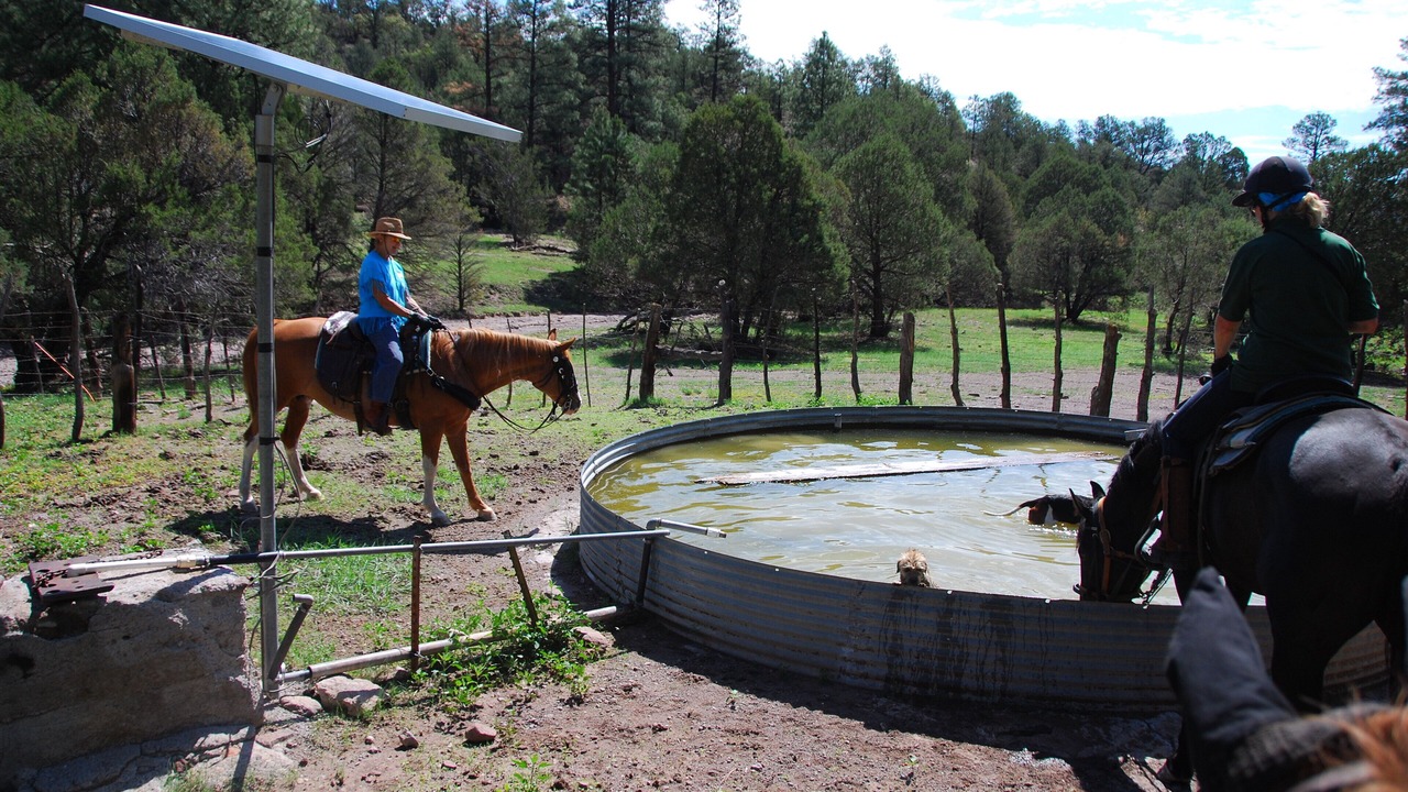 Photo of Others in Catron County
