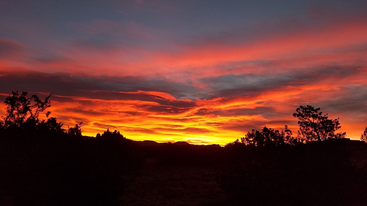 Photo of Others in Catron County