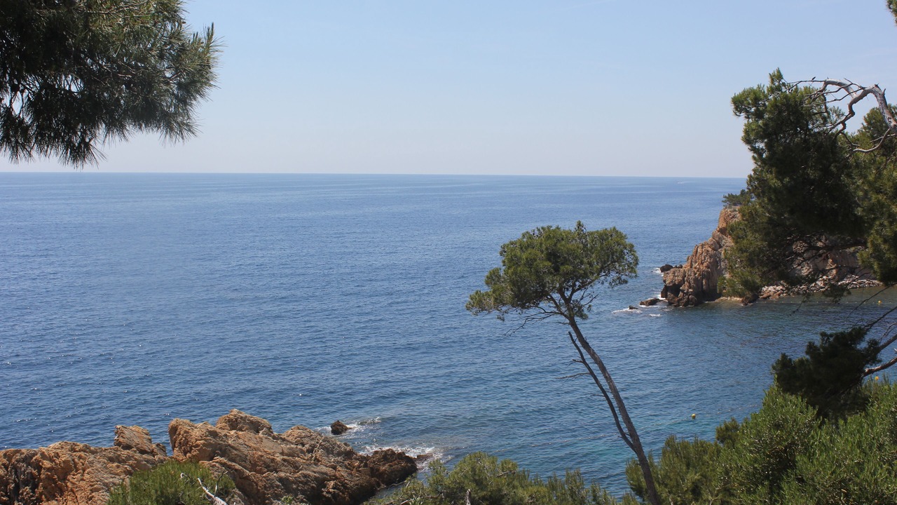 Photo of Others in Ensues-la-Redonne