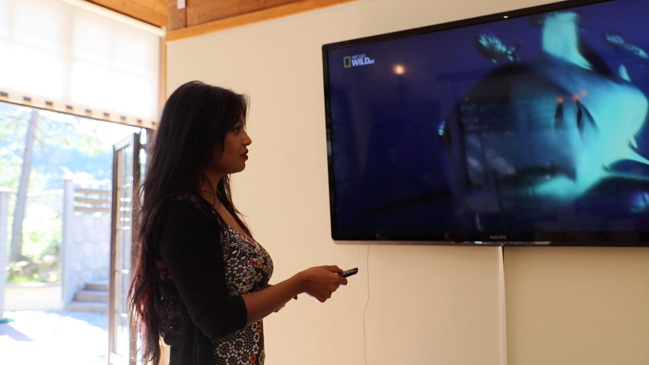 Photo of Others in Saint-Pierre