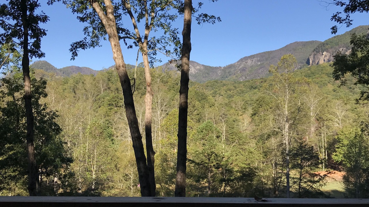 Photo of Others in Lake Lure