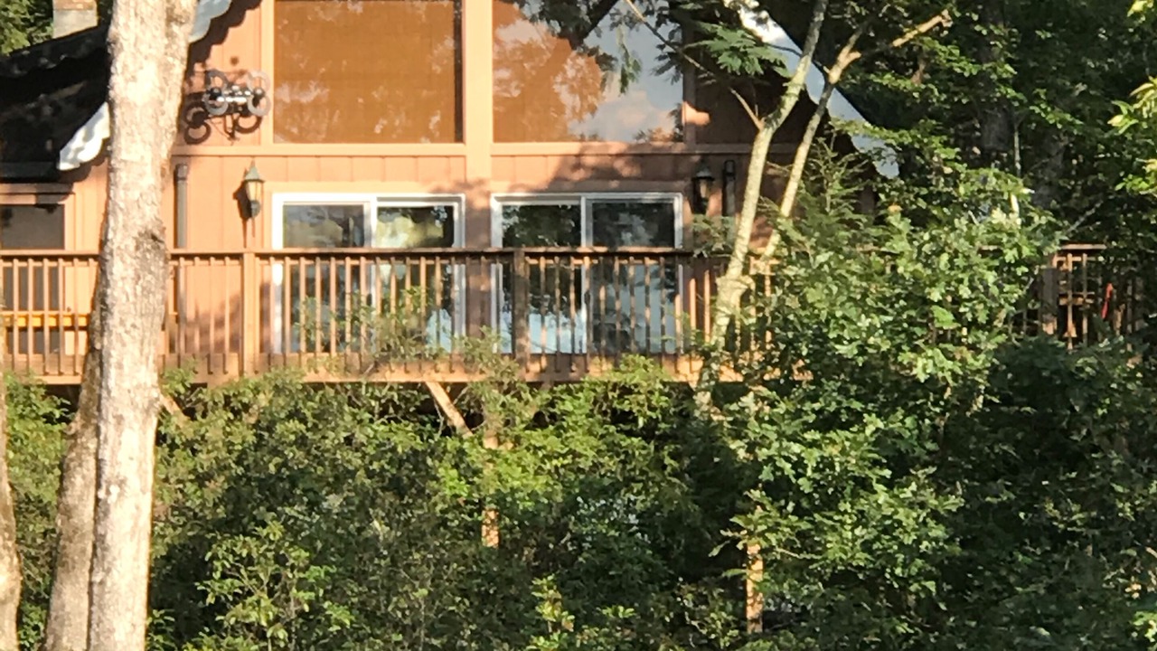 Photo of Outdoor in Lake Lure