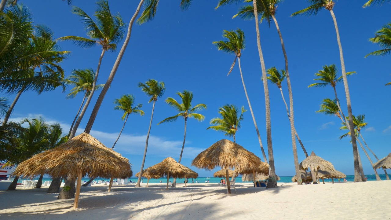 Photo of Others in El Cortecito