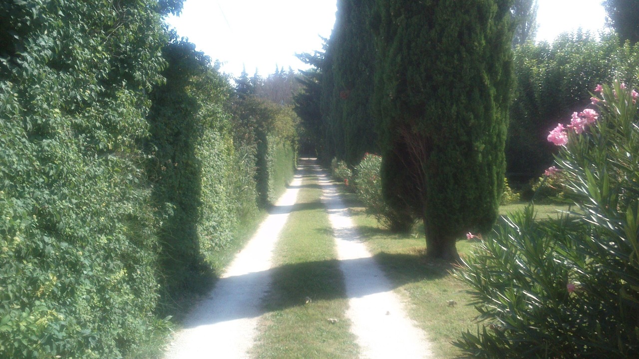 Photo of Outdoor in Loriol-du-Comtat
