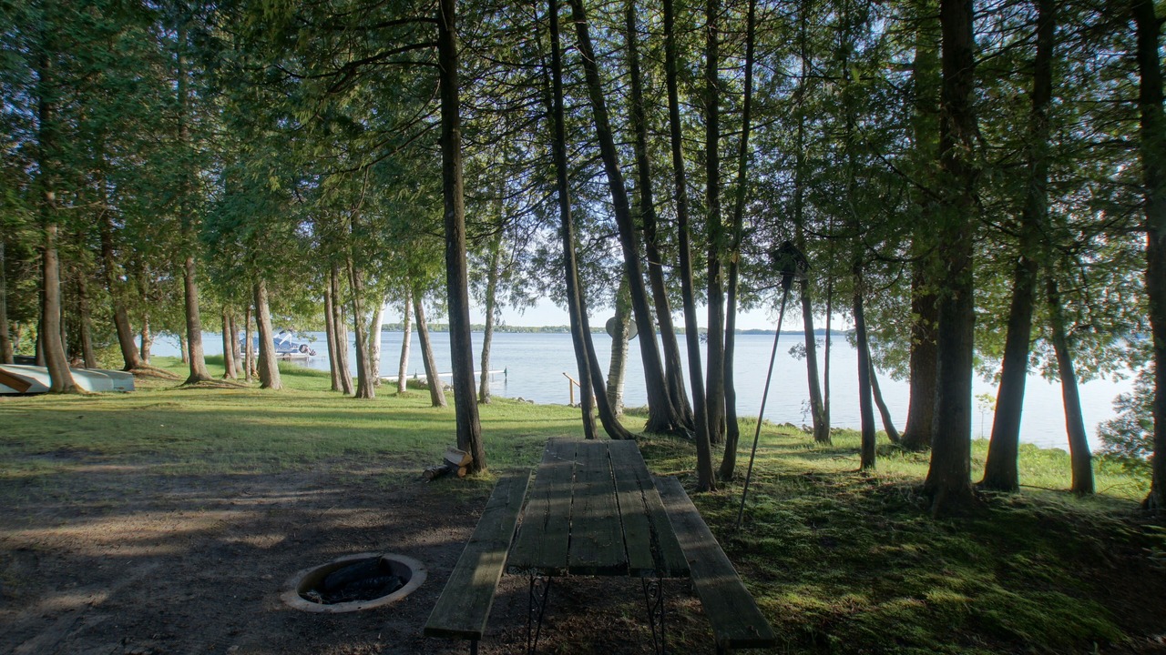 Photo of Outdoor in Moran