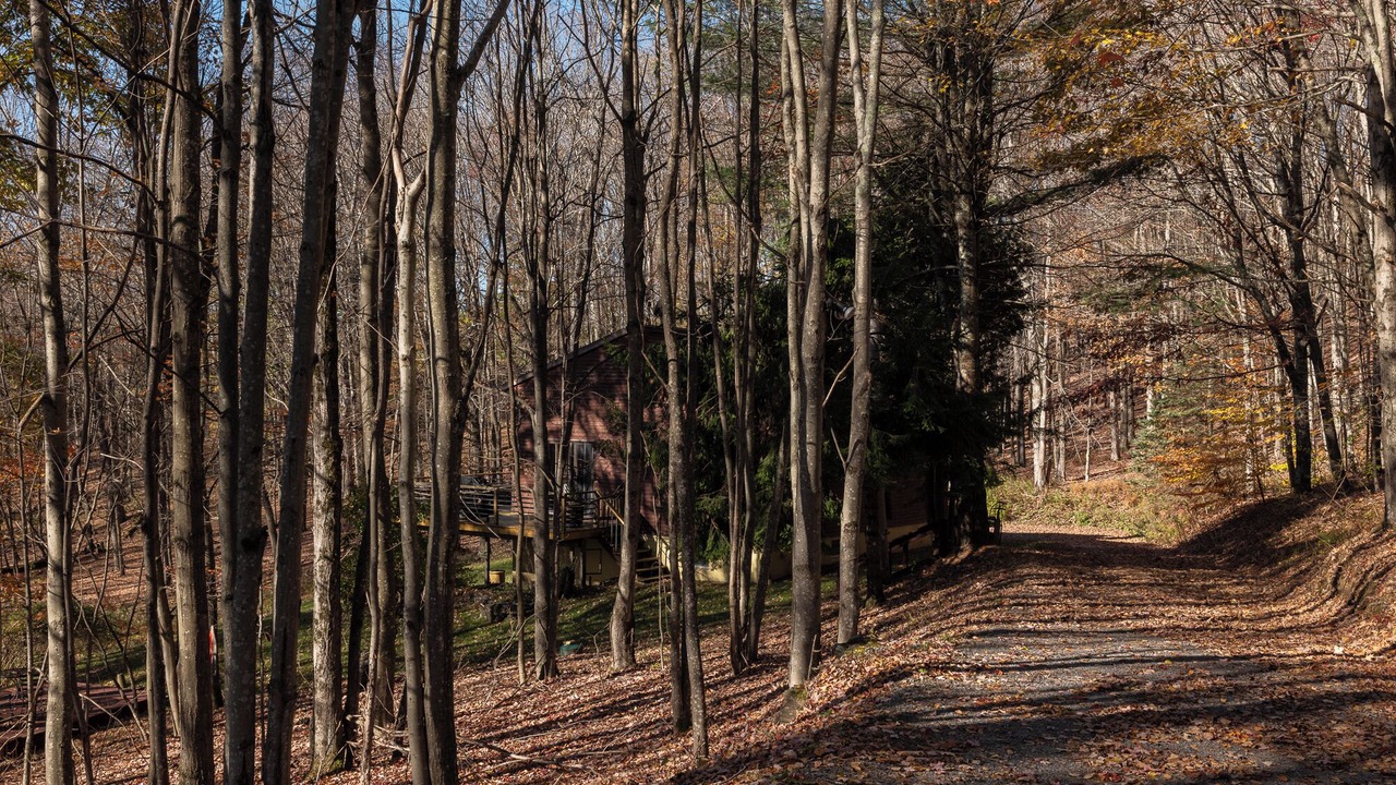 Photo of Others in Fleischmanns