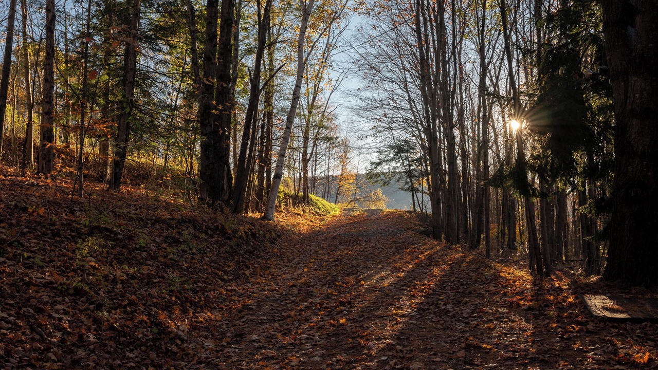 Photo of Others in Fleischmanns