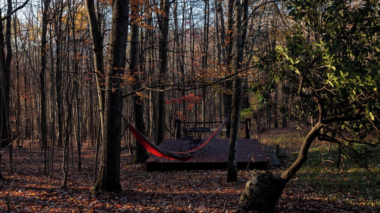 Photo of Outdoor in Fleischmanns