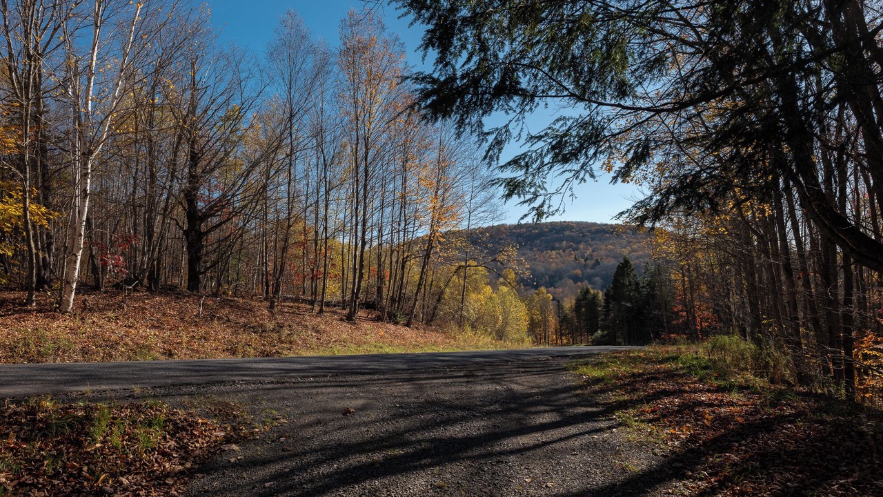 Photo of Others in Fleischmanns