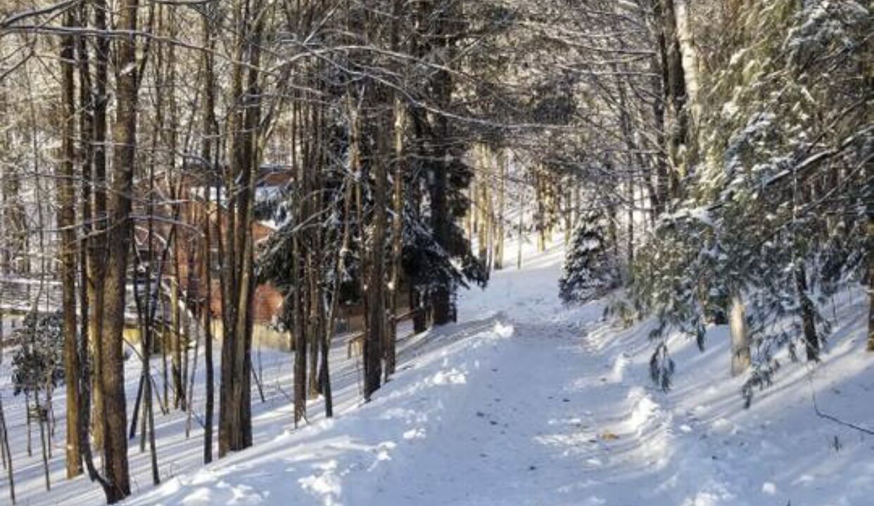 Photo of Outdoor in Fleischmanns