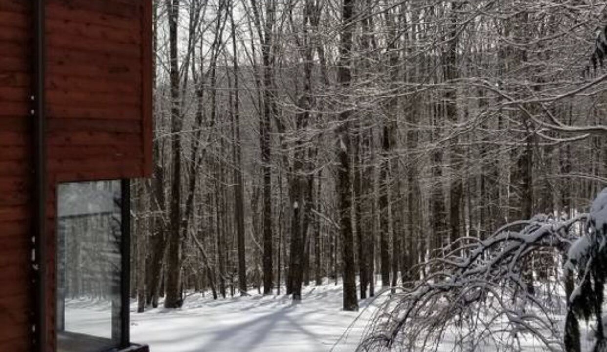 Photo of Outdoor in Fleischmanns