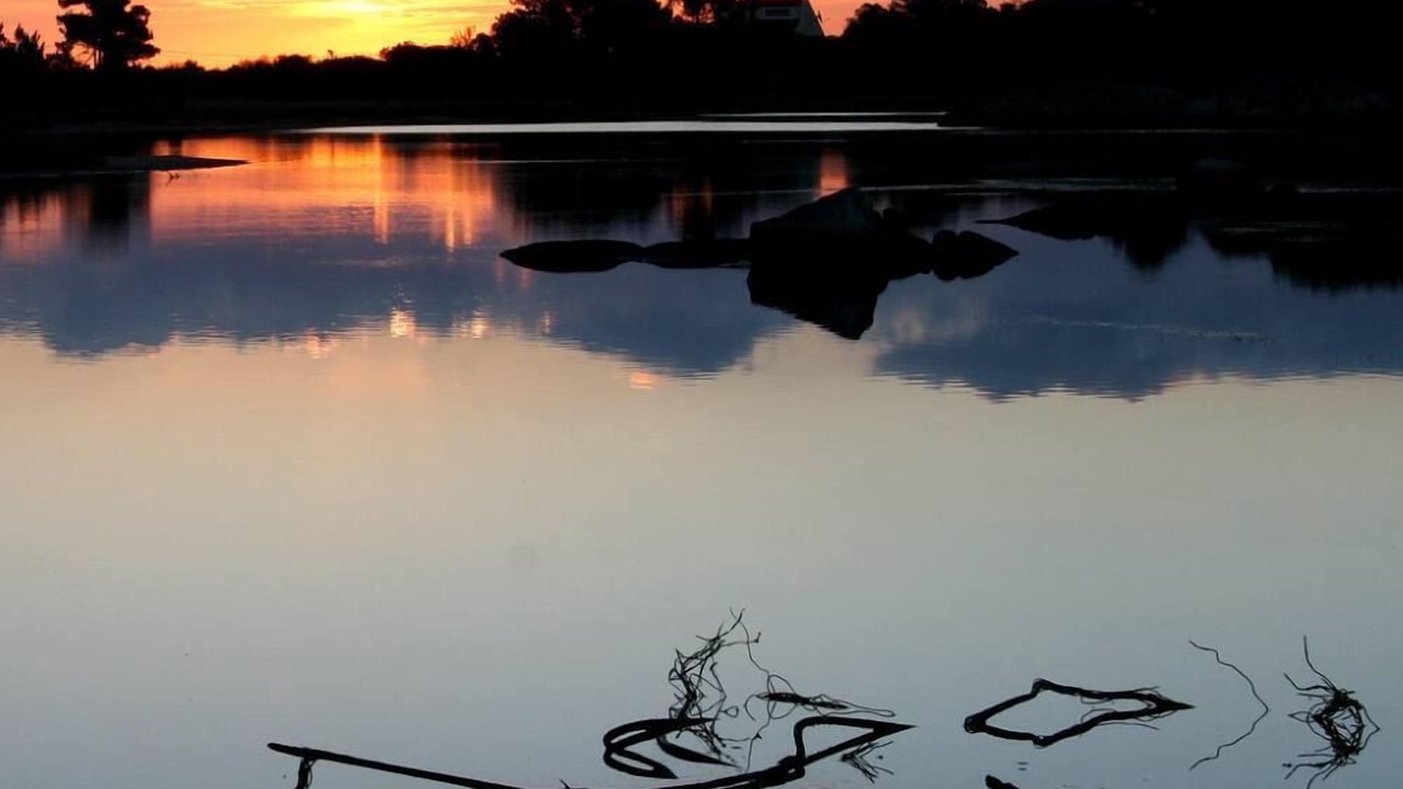 Photo of Others in Lecci