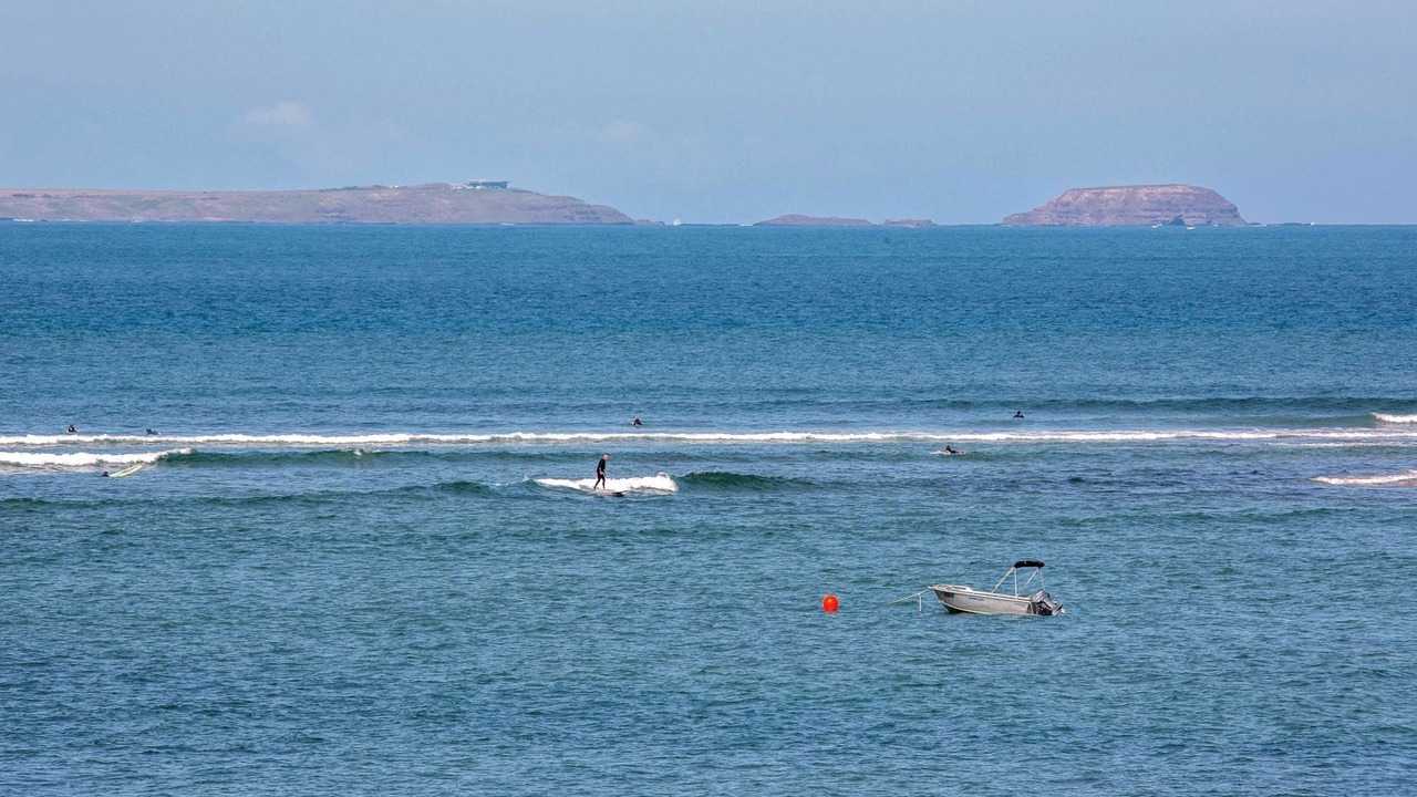 Photo of Others in Point Leo