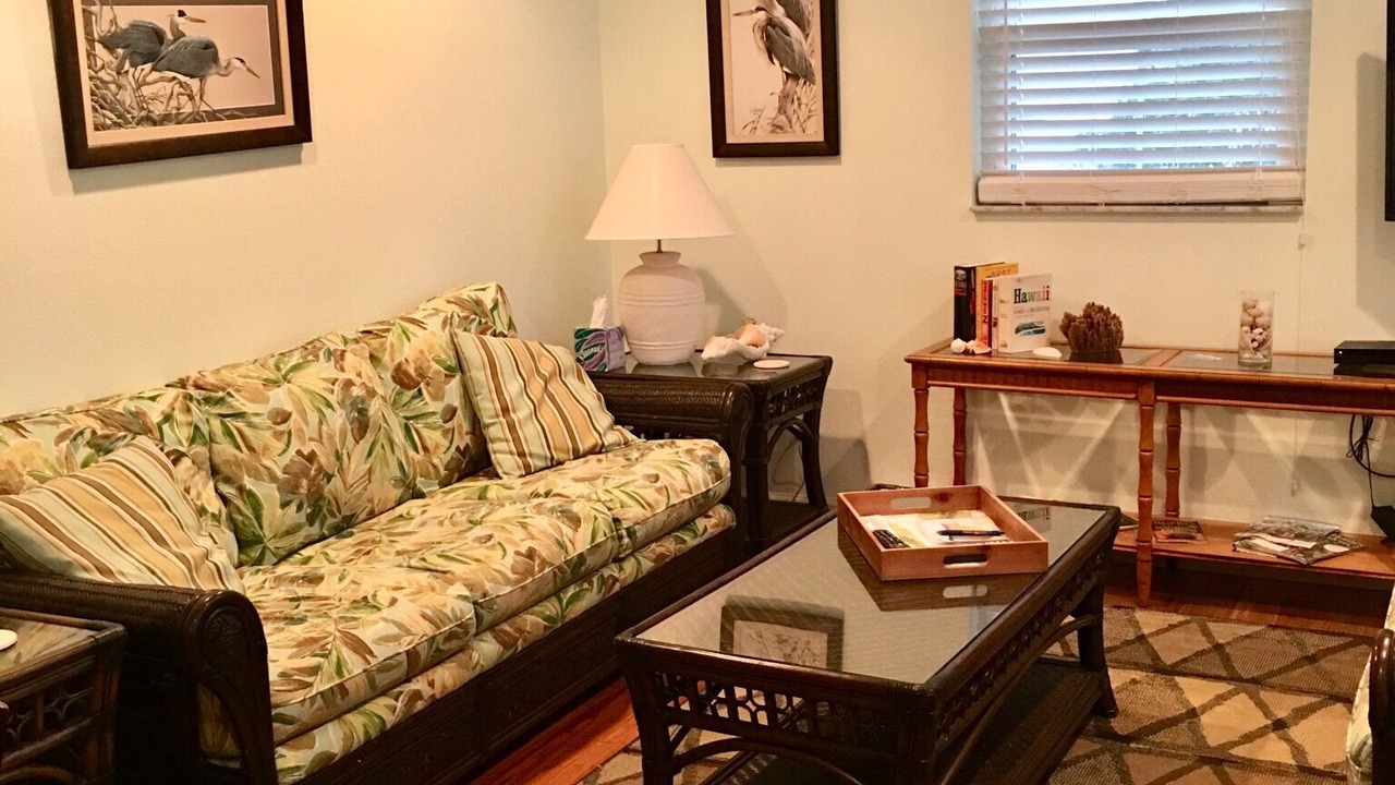 Photo of Livingroom in Tarpon Springs