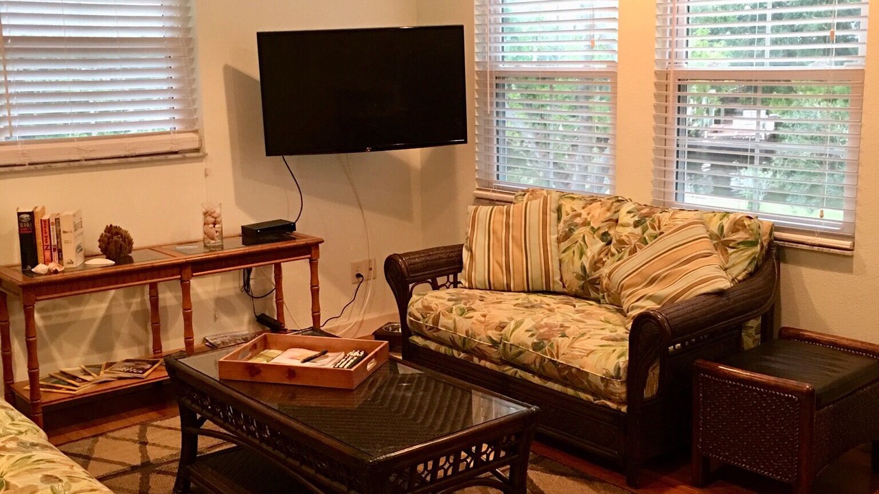 Photo of Livingroom in Tarpon Springs