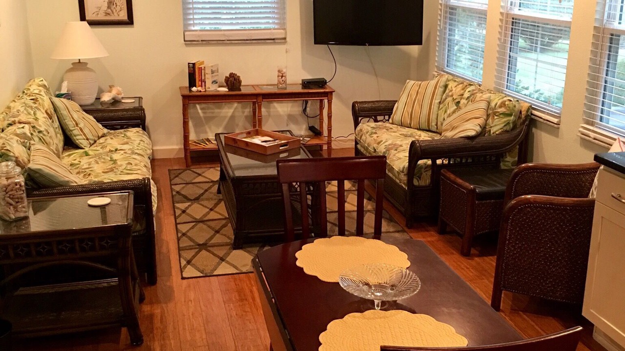 Photo of Livingroom in Tarpon Springs