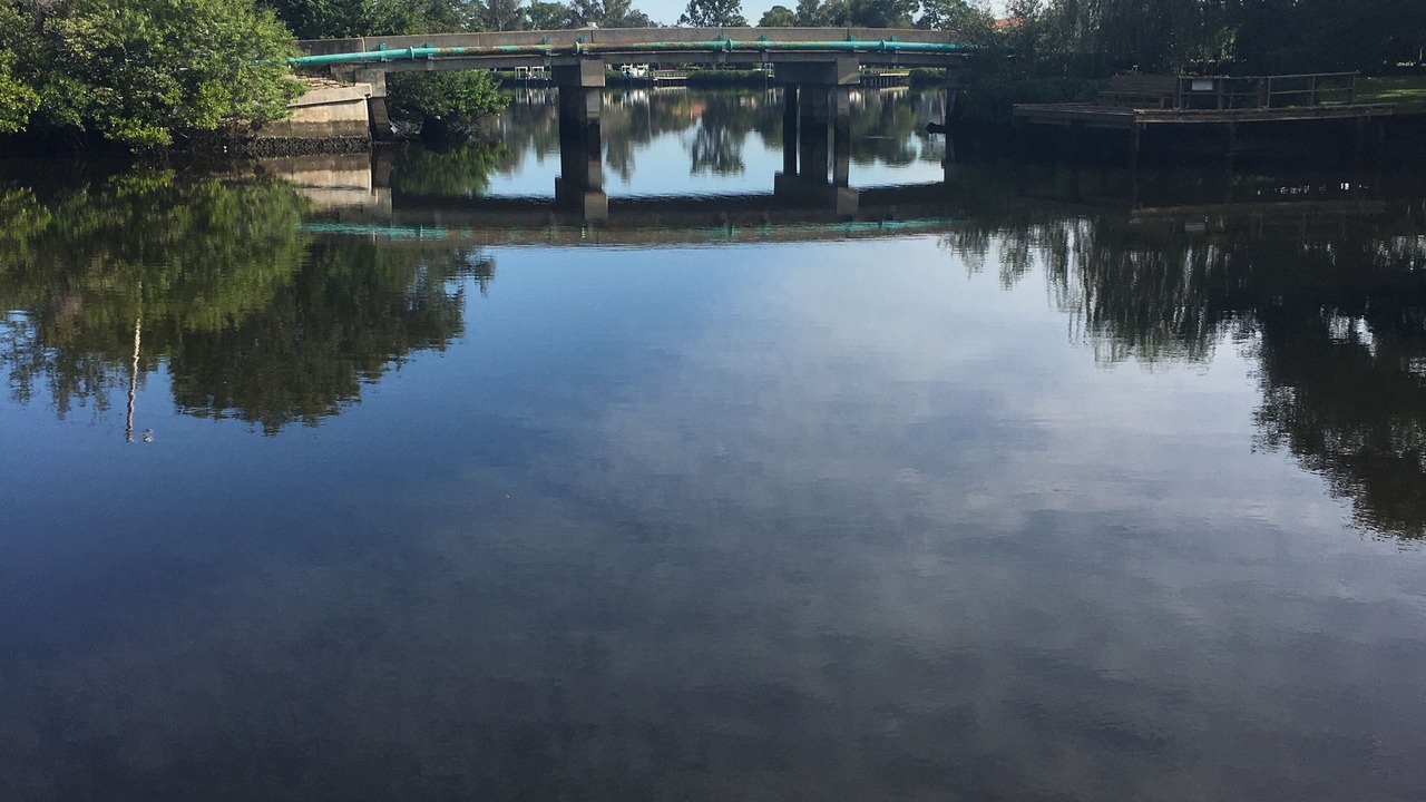 Photo of Outdoor in Tarpon Springs