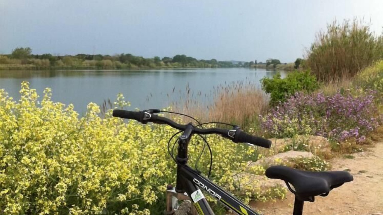 Photo of Others in Verges