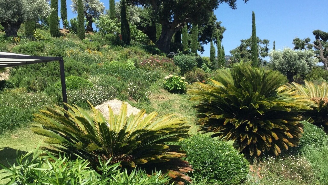 Photo of Outdoor in Grimaud