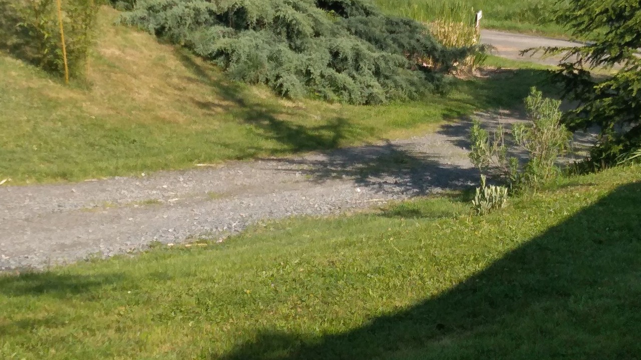 Photo of Others in Le Grand-Pressigny