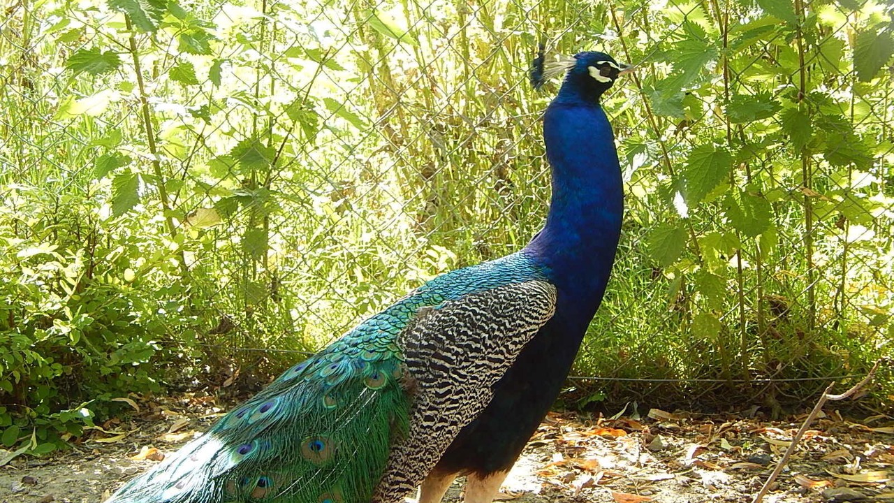 Photo of Outdoor in Le Grand-Pressigny