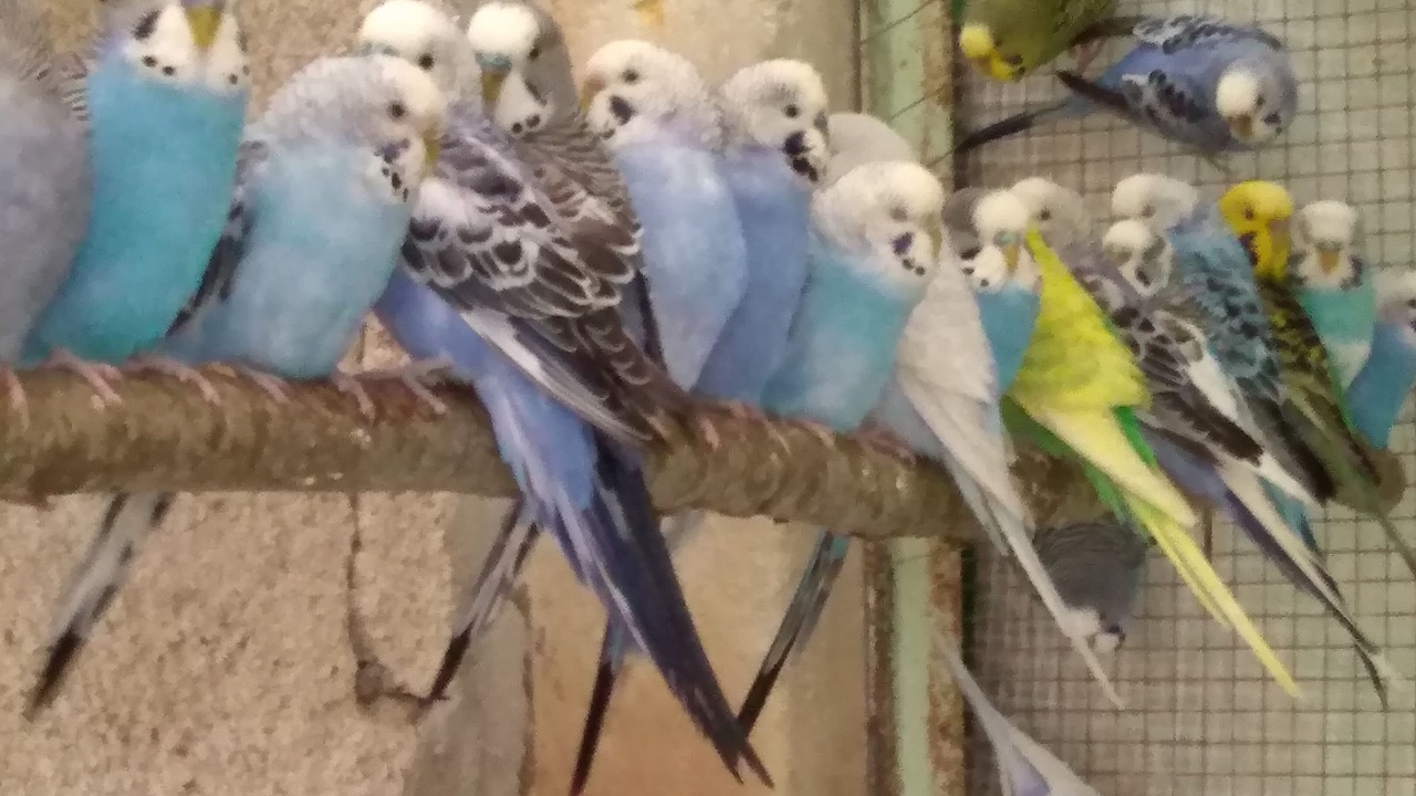 Photo of Others in Le Grand-Pressigny