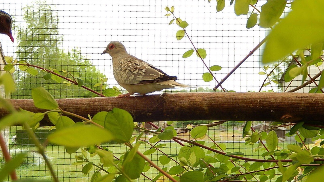Photo of Outdoor in Le Grand-Pressigny