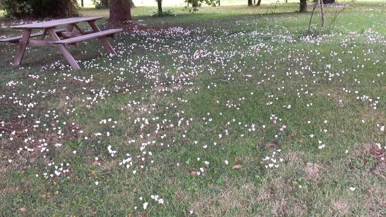 Photo of Outdoor in Le Grand-Pressigny