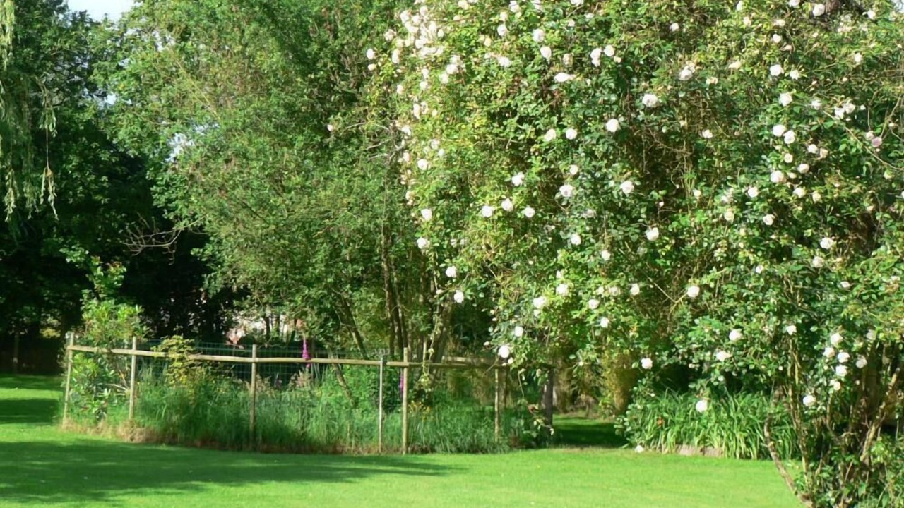 Photo of Outdoor in Saint-Gatien-des-Bois