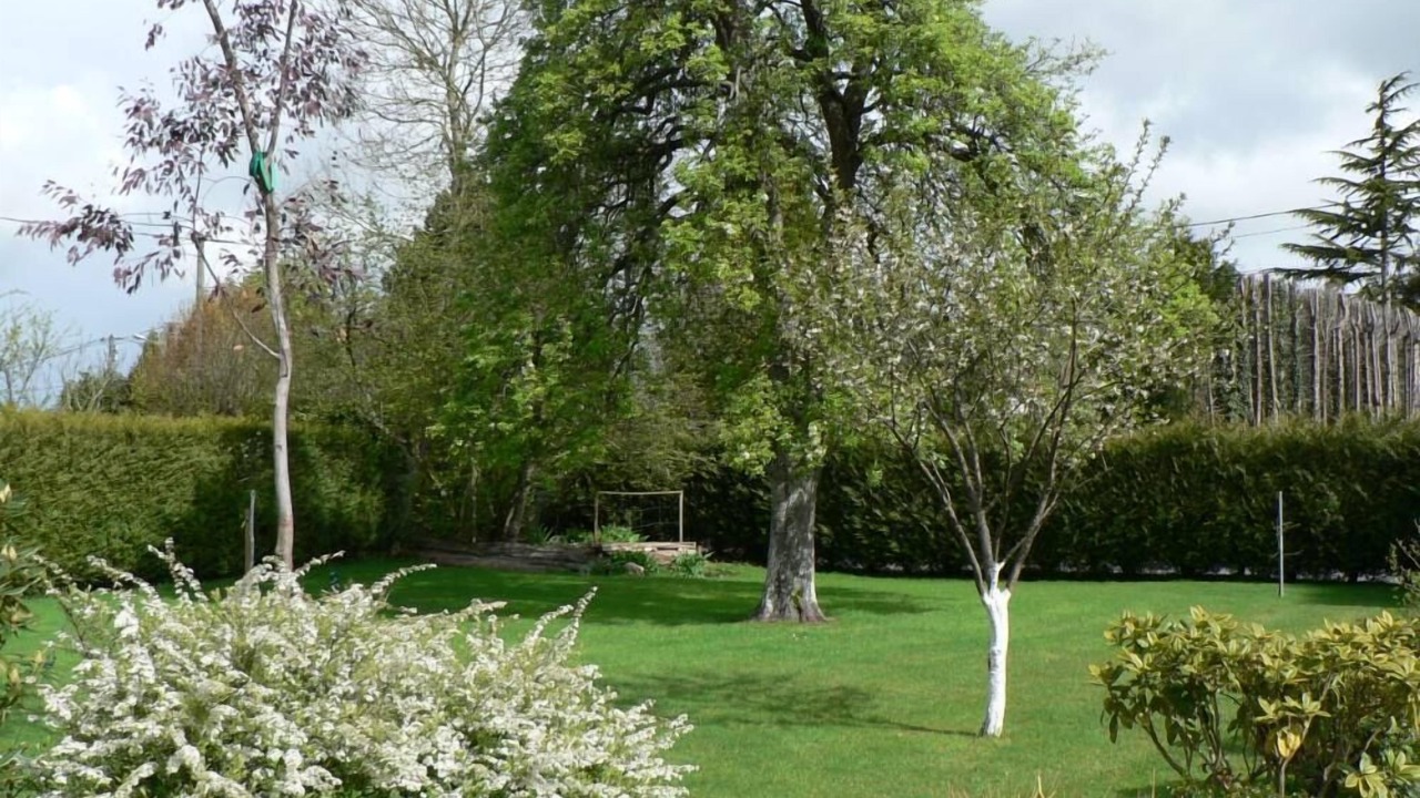 Photo of Outdoor in Saint-Gatien-des-Bois