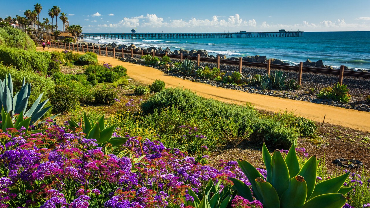 Photo of Others in San Clemente