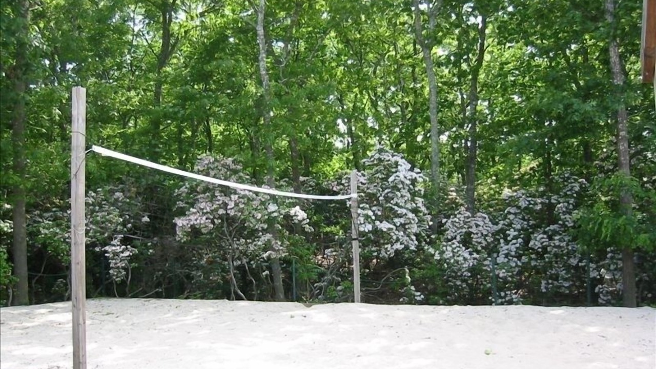 Photo of Others in Wainscott Woods