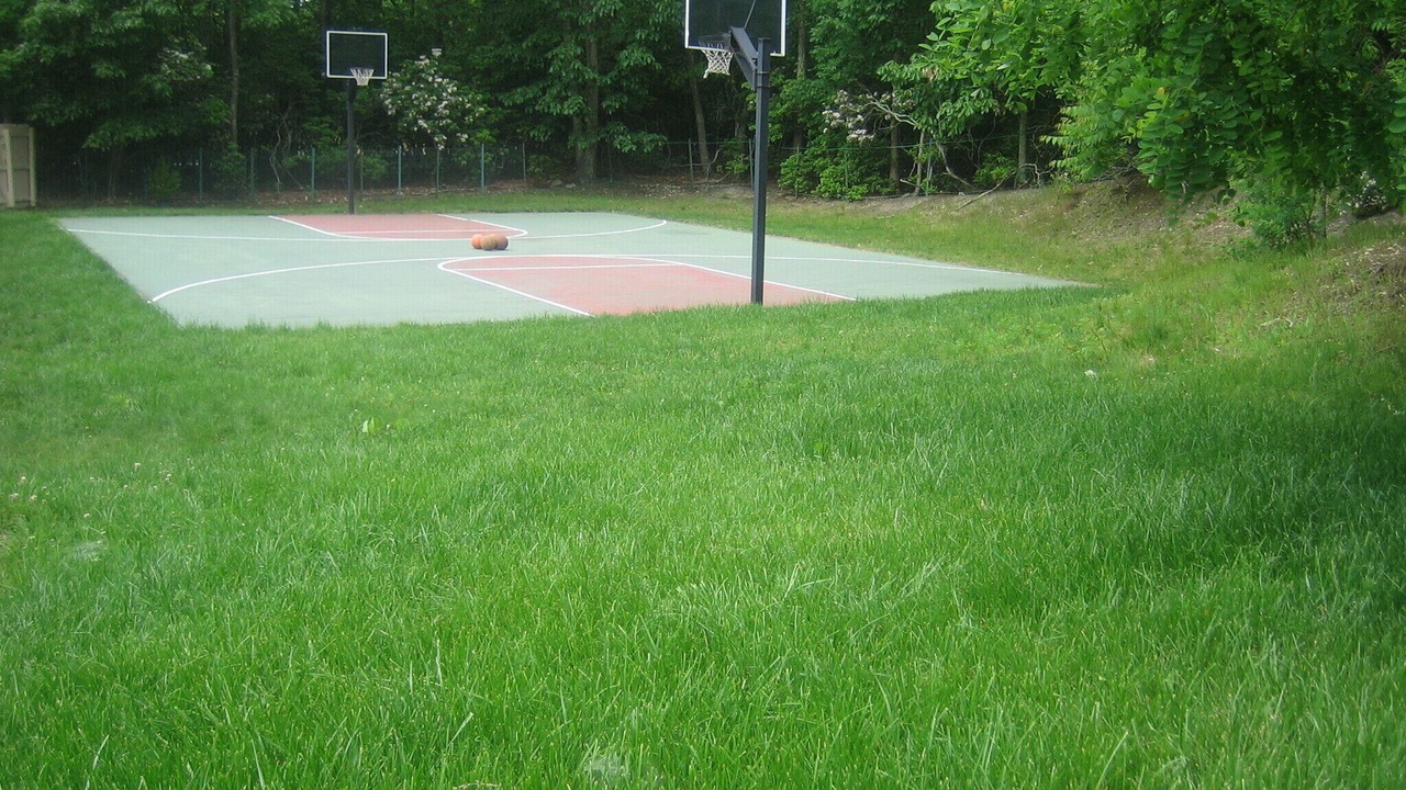 Photo of Others in Wainscott Woods