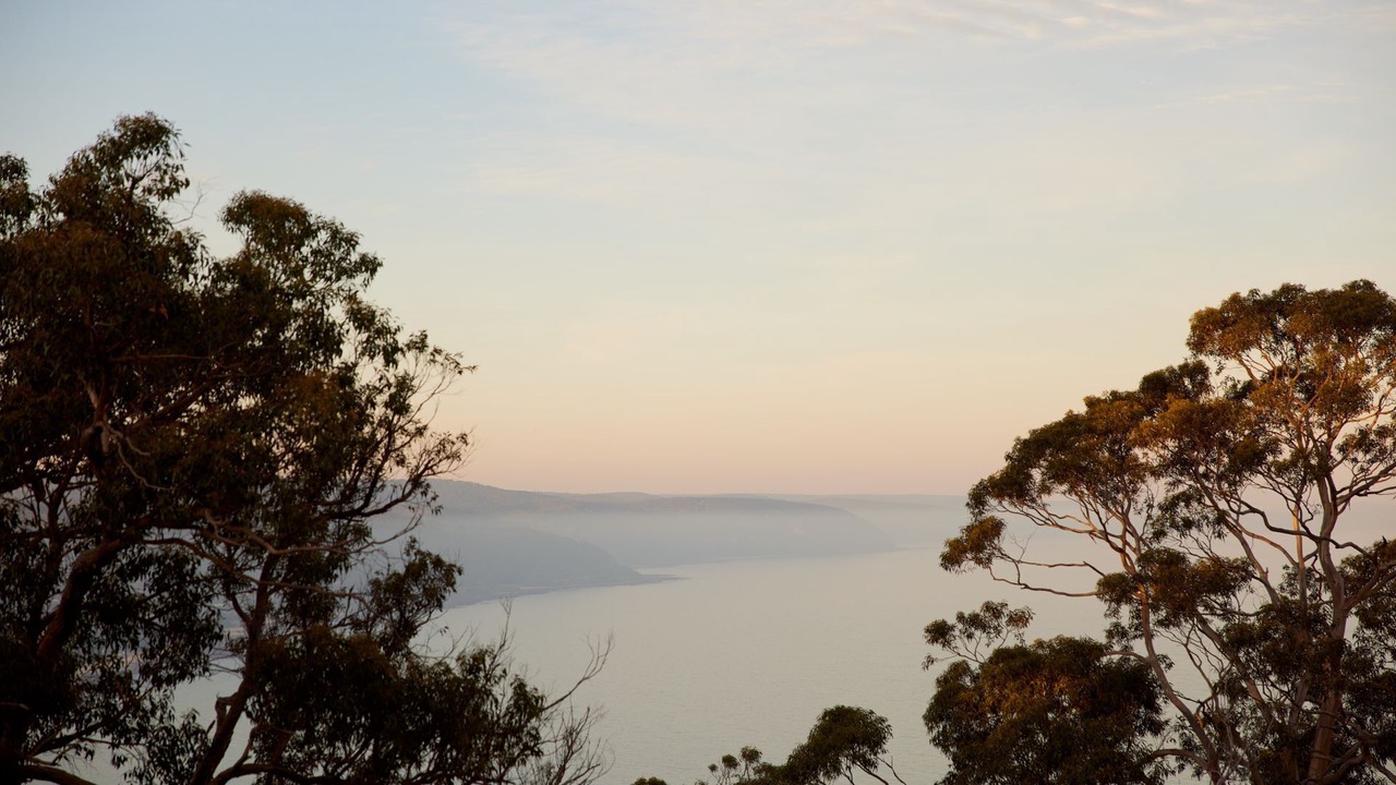 Photo of Others in Lorne